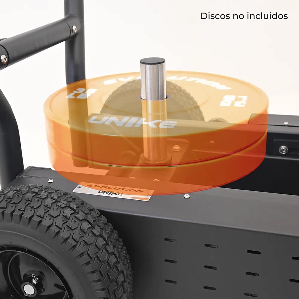 Trineo Evo Pro – Unike – Compra desde el exterior - Imagen 7