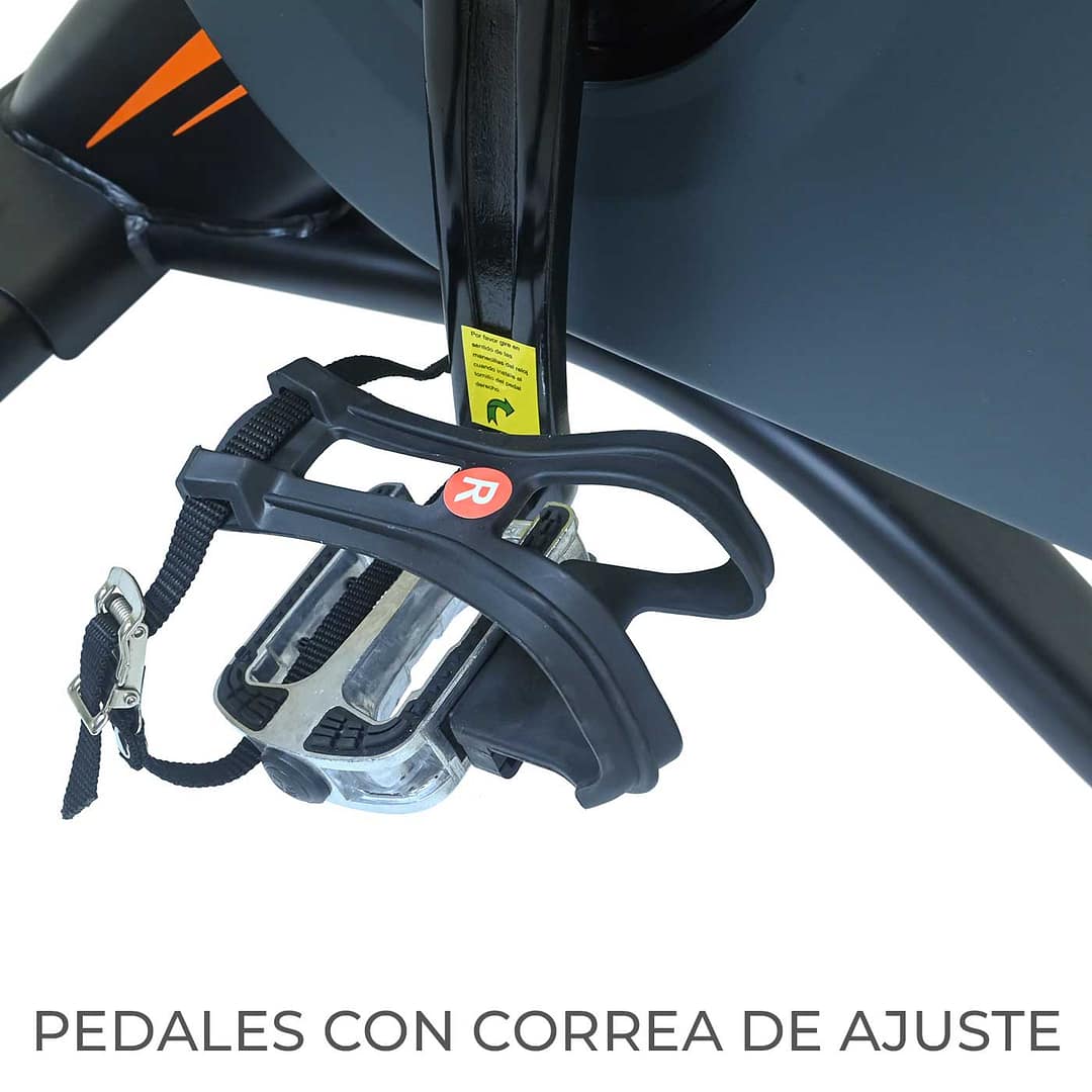 Spinning Evo Rio – Evolution – Compra desde el exterior - Imagen 7
