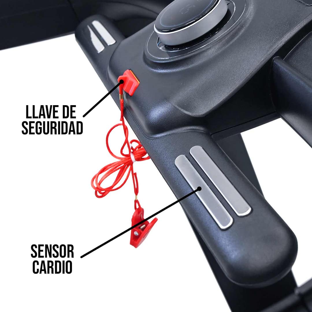 Trotadora Evo Salomón – Evolution – Compra desde el exterior - Imagen 6