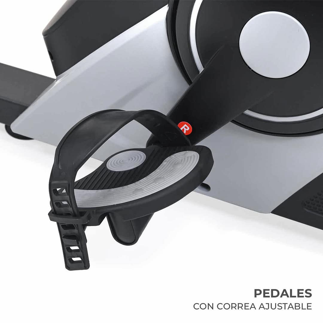 Recumbent R40 – Evolution – Compra desde el exterior - Imagen 7