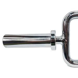 Barra Romana Olímpica Evo – Evolution – Compra desde el exterior