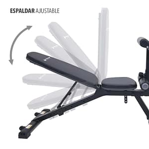 Banco Multiposición Y Extensión B417 – Evolution Fitness – Compra desde el exterior