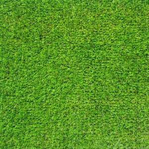 Evo Elite 08 – Evolution Parks – Compra desde el exterior