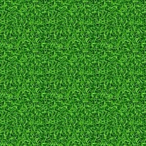 Evo Soccer – Evolution Parks – Compra desde el exterior