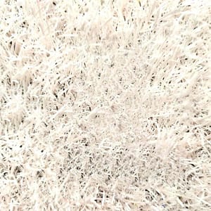 Evo Soccer – Evolution Parks – Compra desde el exterior