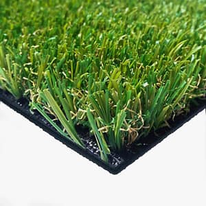 Evo Summer 20 – Evolution Parks – Compra desde el exterior