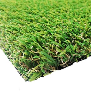 Evo Summer 30 – Evolution Parks – Compra desde el exterior