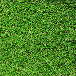 Evo Summer 30 – Evolution Parks – Compra desde el exterior