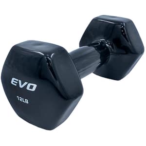 Mancuerna de Vinilo – Evolution – Compra desde el exterior