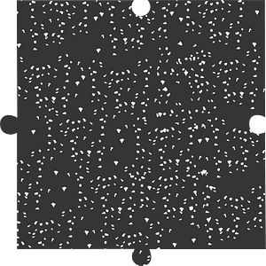 Evo-Standard Chips Colores Baldosas – Evolution Parks – Compra desde el exterior