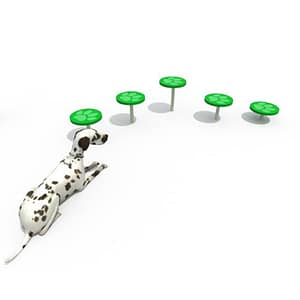 Paso A Paso Dog – Evolution Parks – Compra desde el exterior