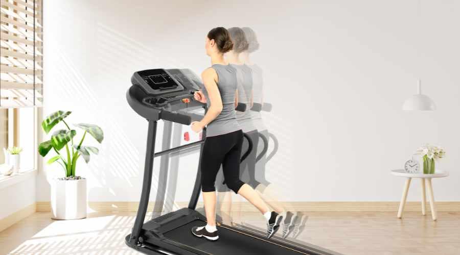 Imagen trotadora evo nogal